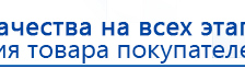 СКЭНАР-1-НТ (исполнение 01 VO) Скэнар Мастер купить в Нижнем Тагиле, Аппараты Скэнар купить в Нижнем Тагиле, Официальный сайт Денас denaspkm.ru