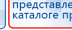 СКЭНАР-1-НТ (исполнение 01 VO) Скэнар Мастер купить в Нижнем Тагиле, Аппараты Скэнар купить в Нижнем Тагиле, Официальный сайт Денас denaspkm.ru